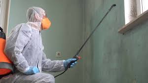 Why You Should Choose Our Mold Remediation Services in Ilchester, MD