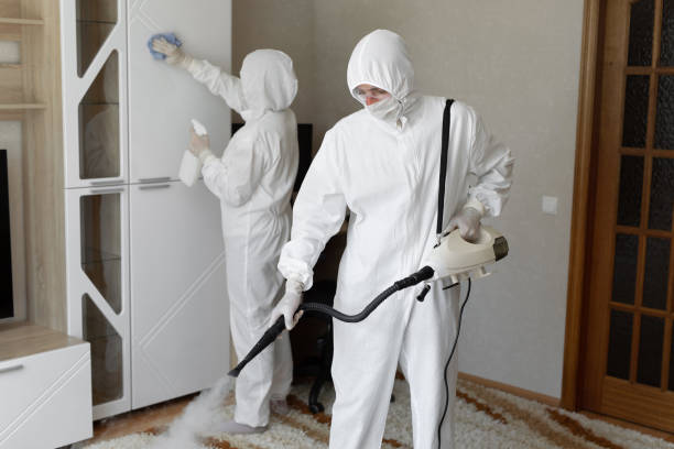 Mold Remediation for Rental Properties