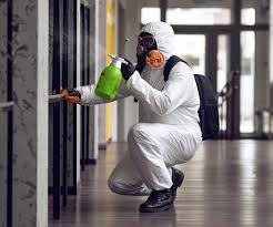 Best Asbestos and Lead Testing During Mold Inspection  in Ilchester, MD